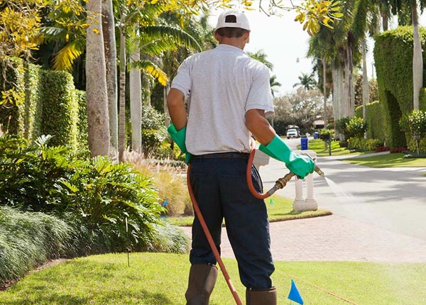 About Whiting VT Pest Control Pros